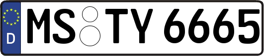 MS-TY6665