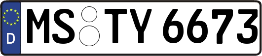MS-TY6673