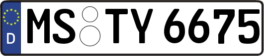 MS-TY6675