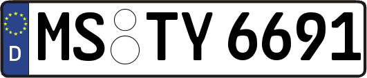 MS-TY6691