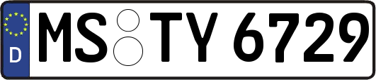 MS-TY6729