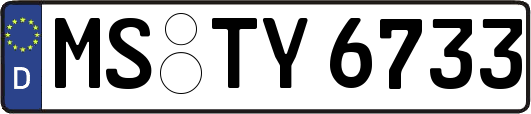 MS-TY6733
