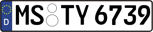 MS-TY6739