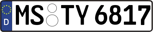 MS-TY6817