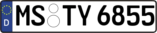 MS-TY6855