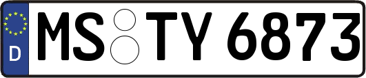 MS-TY6873
