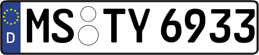 MS-TY6933