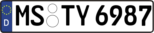MS-TY6987