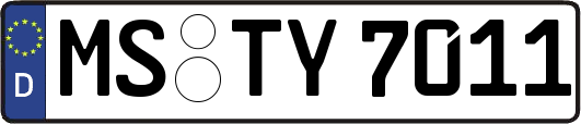 MS-TY7011