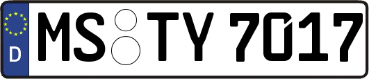 MS-TY7017