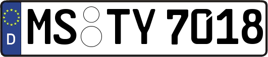 MS-TY7018