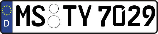 MS-TY7029