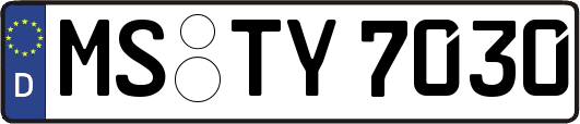 MS-TY7030