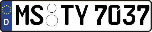 MS-TY7037
