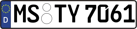 MS-TY7061