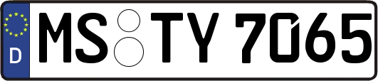 MS-TY7065