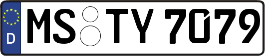 MS-TY7079