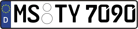 MS-TY7090