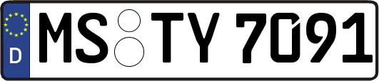 MS-TY7091