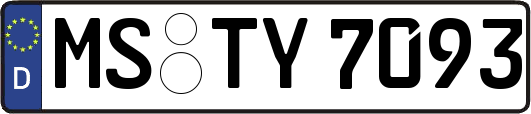 MS-TY7093