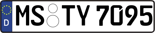 MS-TY7095