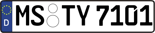 MS-TY7101