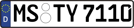 MS-TY7110