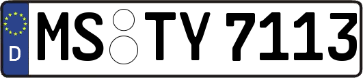 MS-TY7113