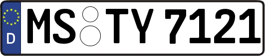 MS-TY7121