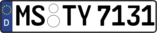 MS-TY7131