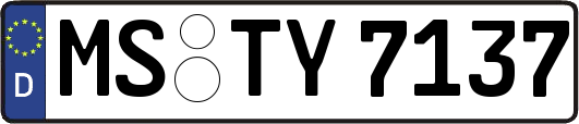 MS-TY7137