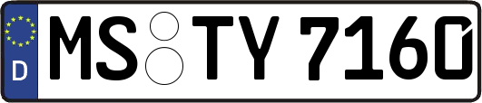 MS-TY7160