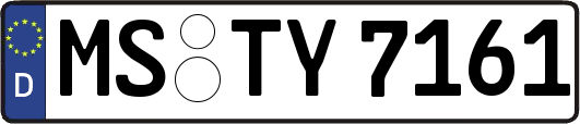MS-TY7161