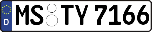 MS-TY7166