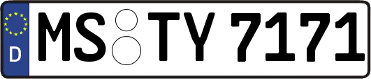 MS-TY7171