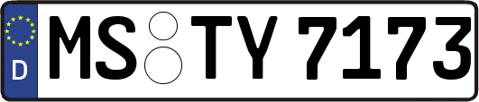 MS-TY7173