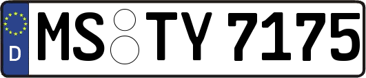 MS-TY7175