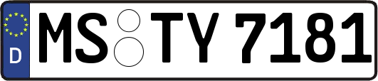MS-TY7181