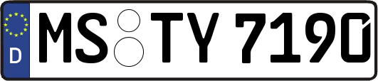 MS-TY7190