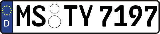 MS-TY7197