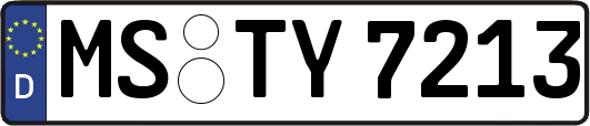 MS-TY7213