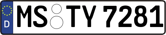 MS-TY7281