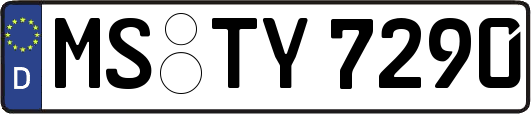 MS-TY7290