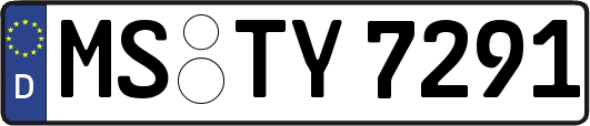 MS-TY7291