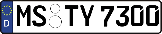 MS-TY7300