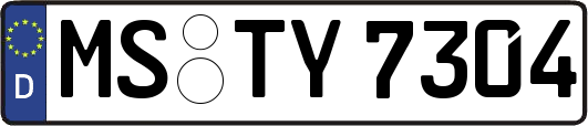 MS-TY7304
