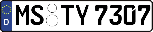 MS-TY7307