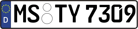 MS-TY7309