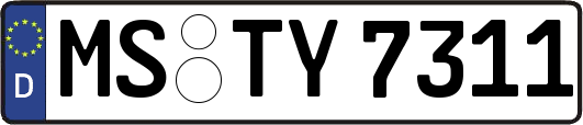 MS-TY7311