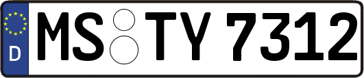 MS-TY7312